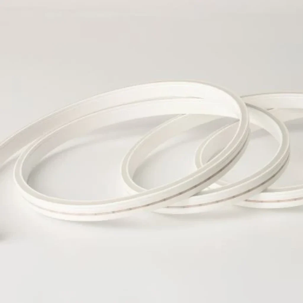 LED Neon Flex